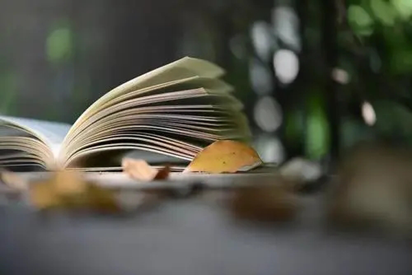 一篇好的軟文，寫作靈感從何而來？