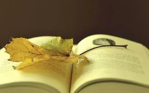 抖音一發就爆火的經典文案，實測效果非常好！