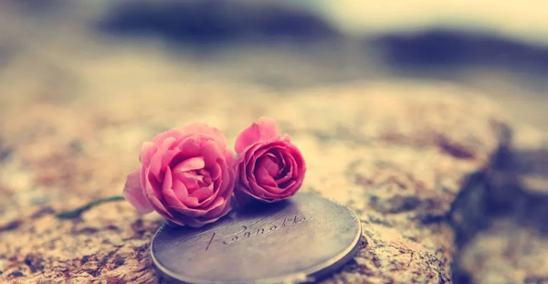 最近流行的朋友圈熱門文案，趕緊收藏！