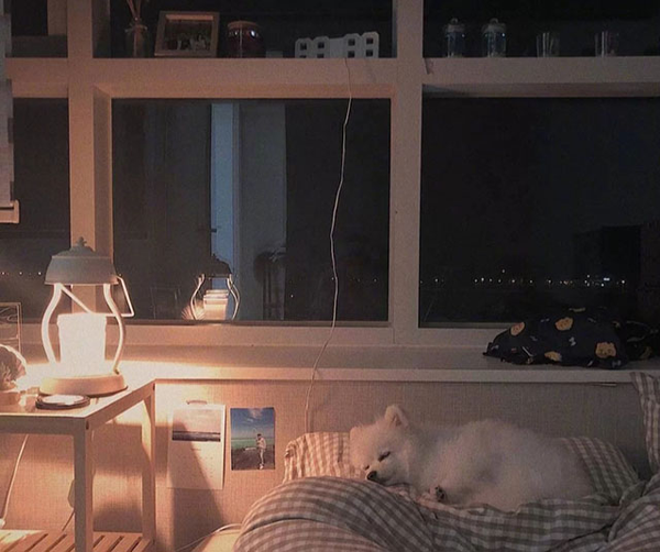 公眾號(hào)文案怎么寫？不懂看這里！