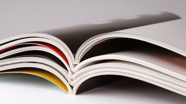 新手小說投稿平臺選擇建議