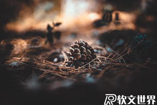 新聞源發(fā)文自己可以發(fā)嗎？