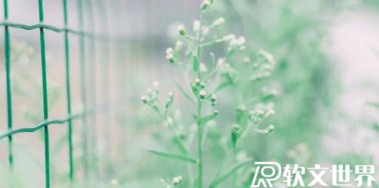 2022容易上熱門的文案（勵志、正能量）短句精選50條