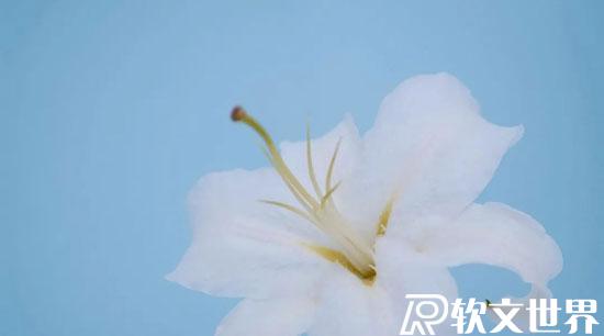 2022容易上熱門的文案（勵志、正能量）短句精選50條