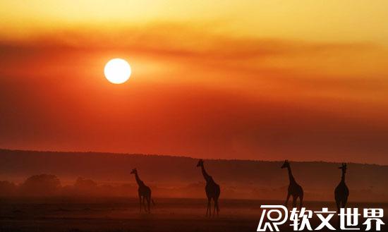 抖音吸粉文案100句，保證一發(fā)就上熱門！