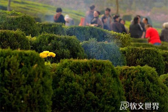 2022年清明節掃墓有新通知嗎