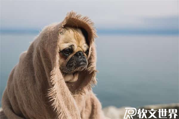 抖音上幾百萬粉絲的賬號是怎么做到的